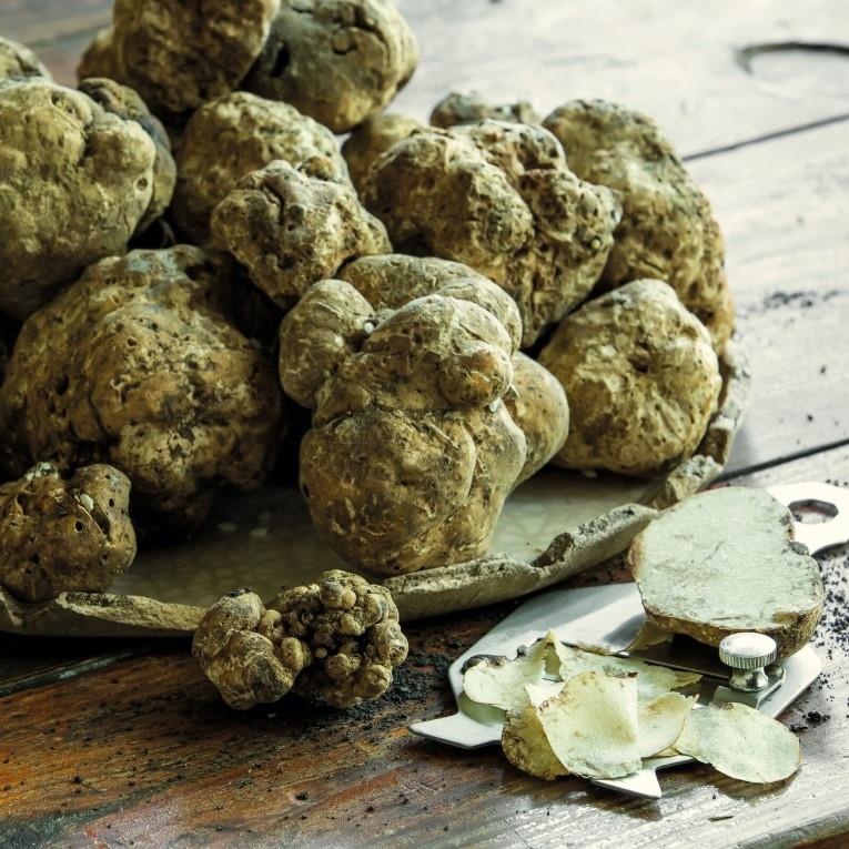 Nož za tartufe / 21x9cm