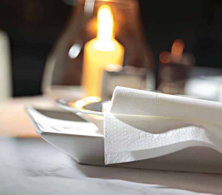 Servieti / 2-slojni / 24x24cm / beli / 250kos