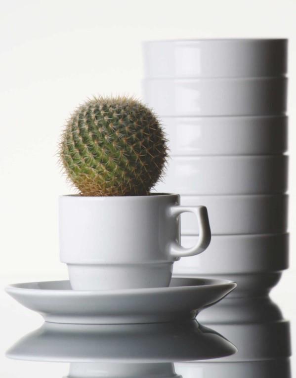 Praha skodelica / 11cl / 6 kos