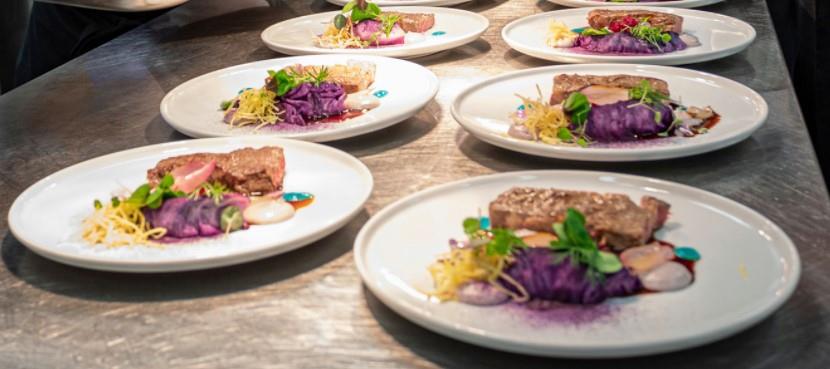 Optimo plitki krožnik / 26cm / 6 kos