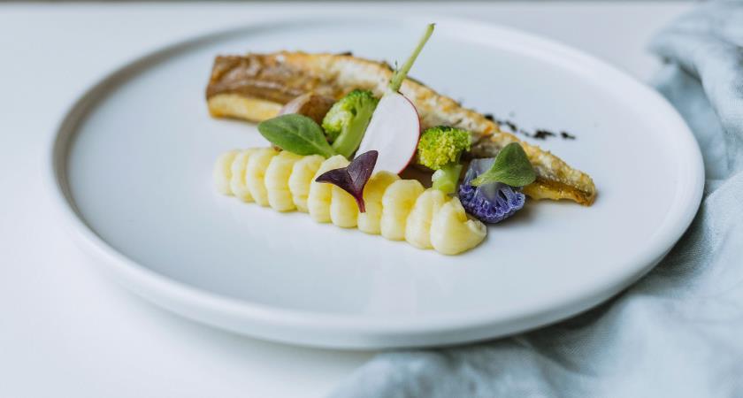 Optimo plitki krožnik / 21cm / 6 kos