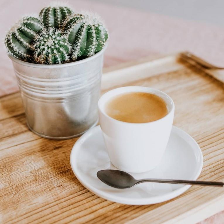 Optimo skodelica / brez ročaja / 8cl / 1kos