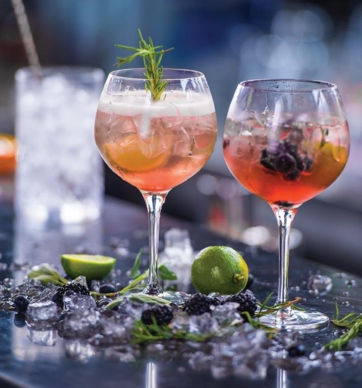 Kozarec Primeur / 58cl / 6 kos