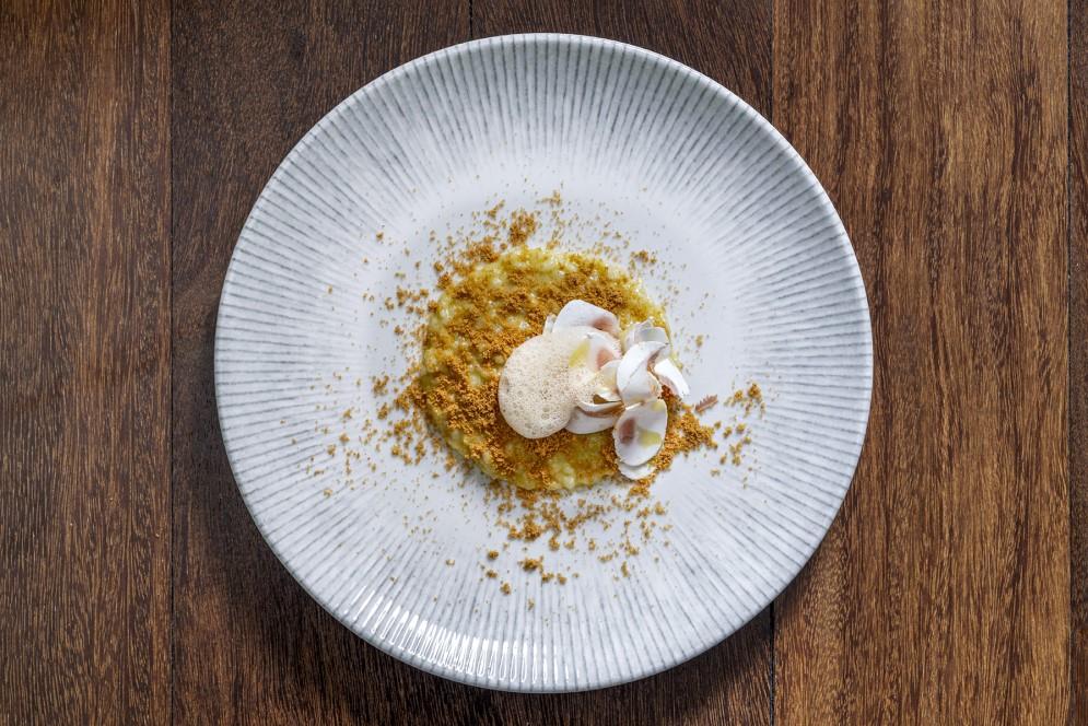 Iris plitki krožnik Gourmet / 23cm / 12kos