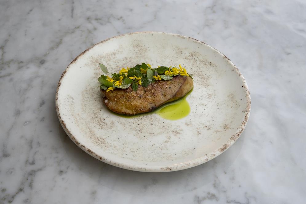 Nacrous plitki krožnik Gourmet / 27cm / 12kos