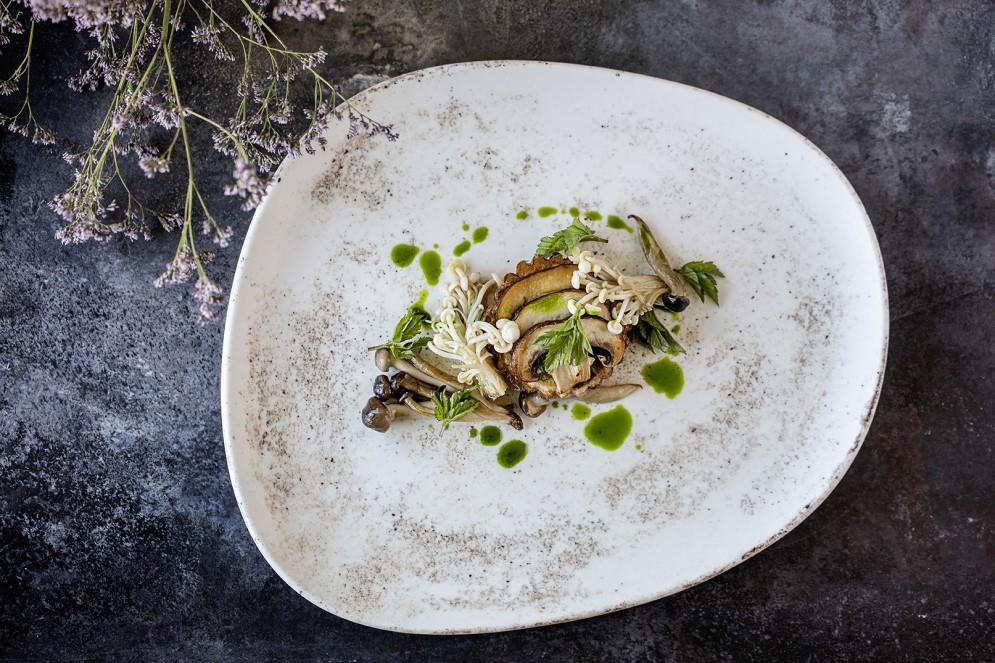 Nacrous plitki krožnik Vago / 24cm / 12kos