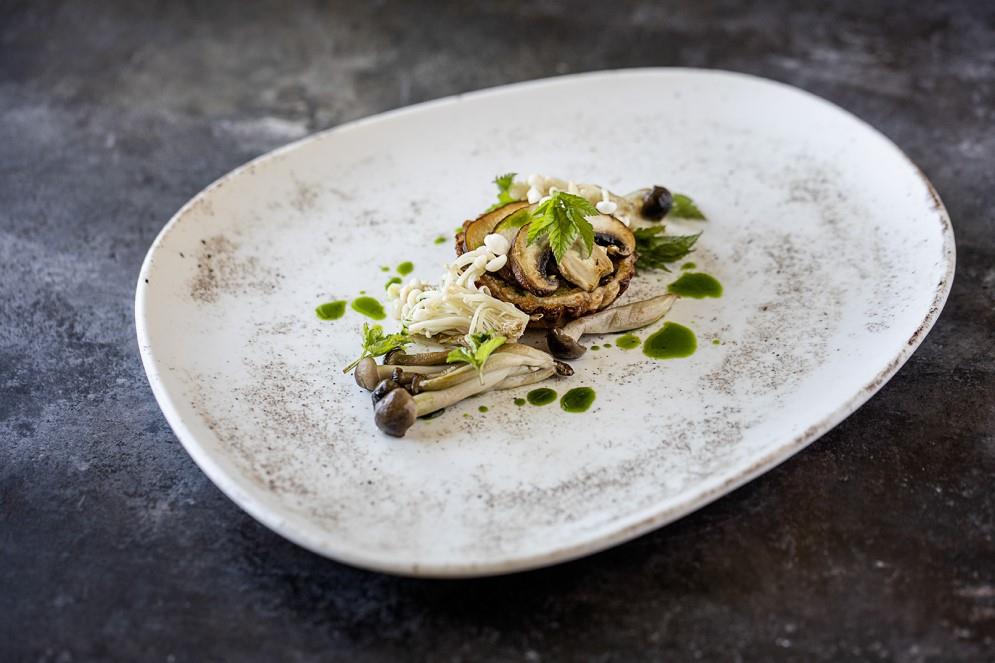 Nacrous plitki krožnik Vago / 24cm / 12kos