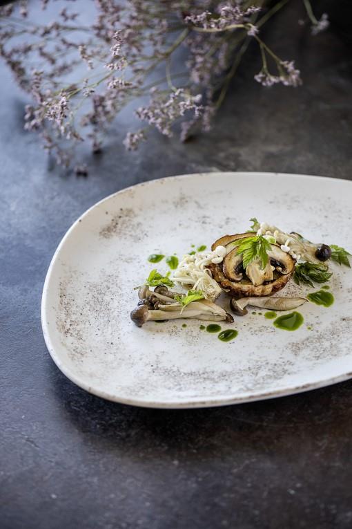 Nacrous plitki krožnik Vago / 24cm / 12kos