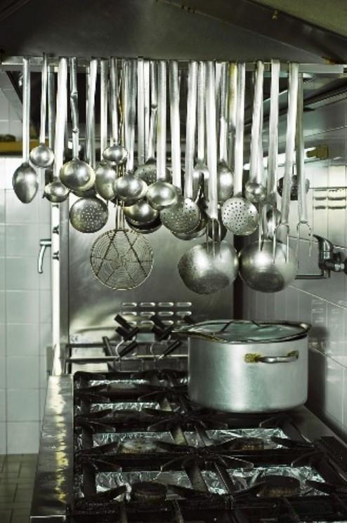 Žičnata penovka / 15cm