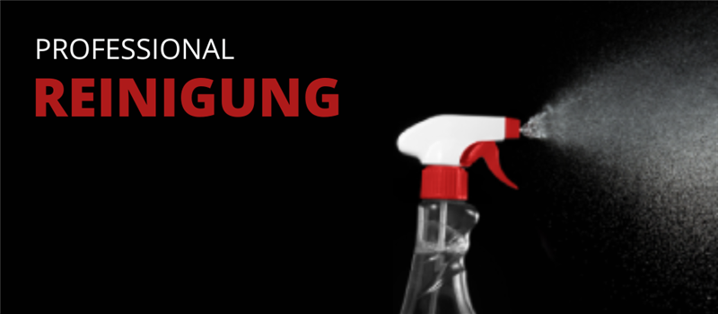 professionelle-reiniger