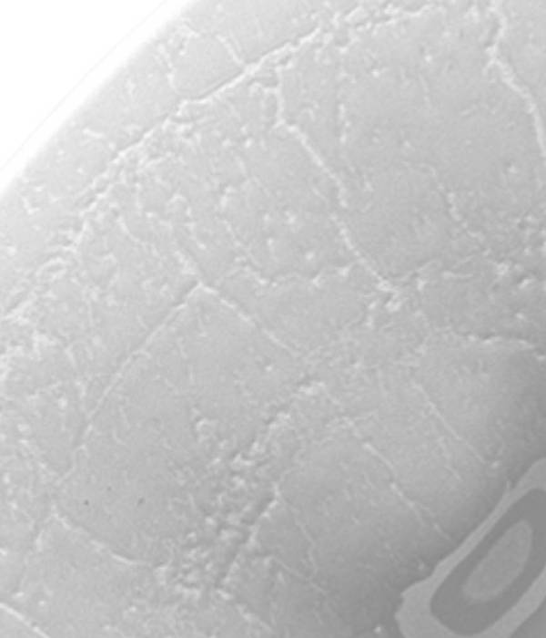 Flamenco-Crackle-Lilien-G.Benedikt